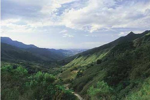 Parque Nacional da Serra da Bocaina / Foto: Divulgação