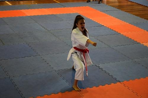 Equipe vence a terceira etapa do campeonato, sábado, dia 18 de outubro, em Indaial. O grupo fez 669 pontos, sendo 255 no Kata e 414 no Kumitê / Foto: Divulgação