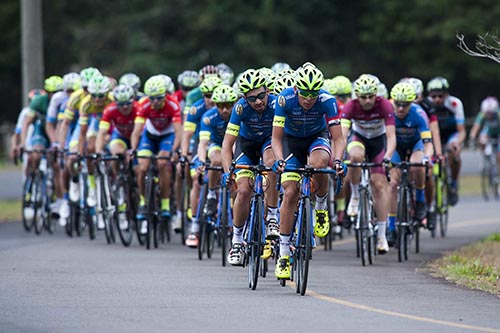 Paulista de Estrada/CRI 2019  / Foto: Divulgação FPCiclismo