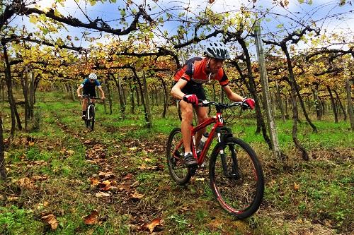 Parceria com o Grupo Dall'Onder oferece condições diferenciadas para os participantes e seus familiares no período da prova de mountain bike, em novembro, tanto nos hotéis como nos passeios pela região / Foto: Divulgação