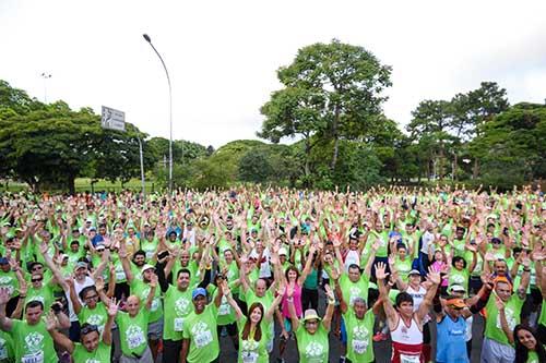 Edição 2018  / Foto: Adam Tavares 