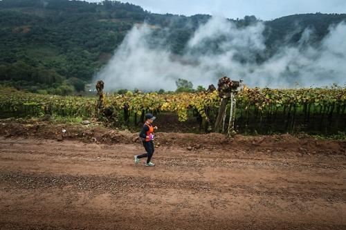 O limite de vagas é de 1.000 atletas para a sexta edição da meia maratona que será realizada em Bento Gonçalves, na Serra Gaúcha / Foto: Divulgação