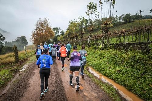 Quem estiver em Bento Gonçalves para a prova poderá programar, paralelamente, diferentes atividades de lazer na região / Foto: Wine Run/ Divulgação