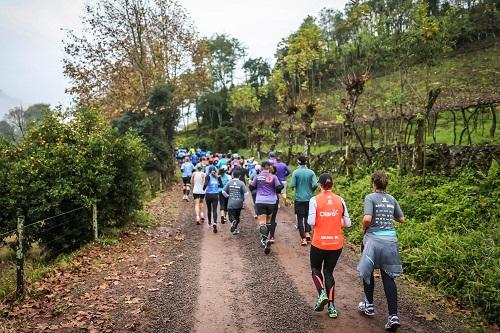 É a sexta edição da prova, conhecida como meia maratona do vinho, com muitos desafios e belas paisagens no percurso em meio aos vinhedos da Serra Gaúcha / Foto: Wine Run / Divulgação