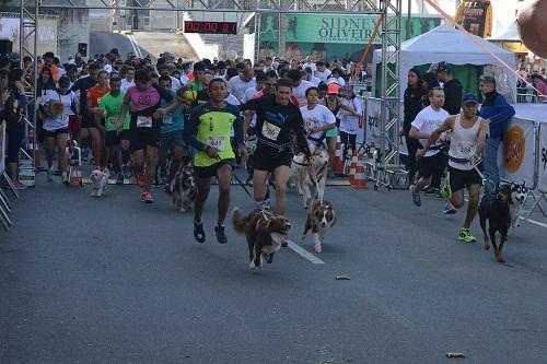 Inscrições acontecem até o dia 11 / Foto: Divulgação