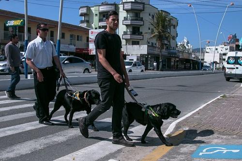 Entidade que treina cães guia será beneficiada pela corrida / Foto: Acioni Cassaniga