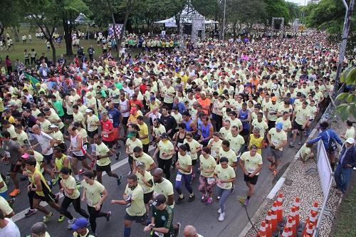 Mais de 18 mil pessoas foram ao Ibirapuera participar do evento promovido pelo Instituto Olga Kos de Inclusão Cultural (IOK) / Foto: Lili Quaglia