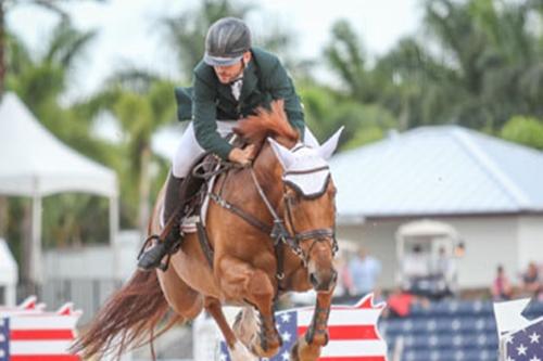 Mario Appel e Challenge Z em ação no Winter Equestrian Festival 2015 no Palm Beach International Equestrian Center / Foto: Arquivo / Luis Ruas