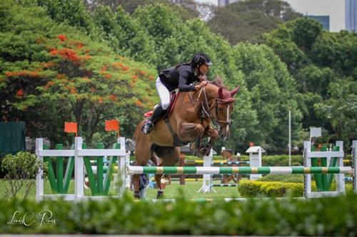 Andrea Guzzo Muniz Ferreira / Maloubet Xangô (Baloubet du Roet x Jung N. Gekoer): destaque na categoria Cavalos Novos 7 anos na temporada 2014