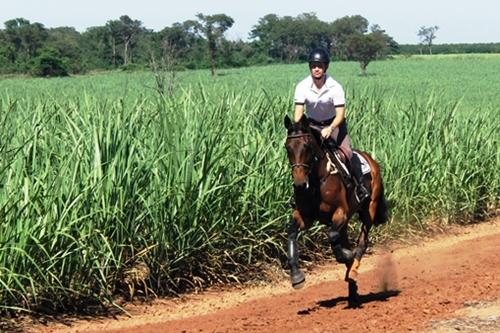 O bem-estruturado Haras Cross  em Barretos mais uma vez foi palco de uma clínica / Foto: Cláudia Leschonski