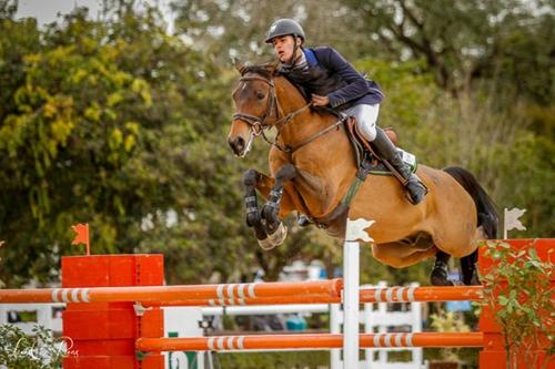 Fernando Penteado com Arriminum TW: campeão brasileiro young riders e vice-campeão brasileiro junior 2014