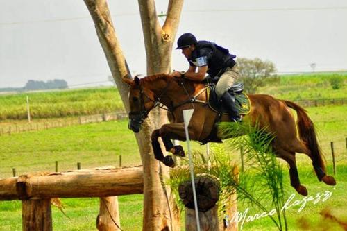 Conjunto (cavaleiro/cavalo) durante prova de Cross Country no Haras Cedro da Colina, em Colina(SP) / Foto: Marco Lagazzi / Haras Cedro da Colina