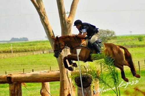 Conjunto (cavaleiro/cavalo) durante prova de Cross Country no Haras Cedro da Colina, em Colina(SP) / Foto: Marco Lagazzi / Haras Cedro da Colina