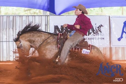 Rédeas rumo aos  Jogos Equestres Mundiais 2014 / Foto: Foto Perigo