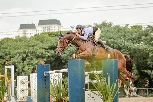 Mais de 570 conjuntos de São Paulo e outros Estados concorrem no encerramento do Ranking de Salto SHP 2016 na Hípica Paulista. A entrada é franca / Foto: Luis Ruas