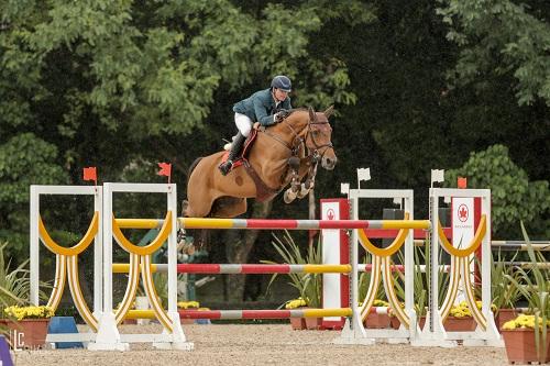 Ranking de Salto da Sociedade Hípica Paulista chega a sua 25ª edição na temporada 2017 e tem sua 1ª Etapa entre 2 e 5/2. As inscrições ainda estão abertas e a entrada é franca / Foto: Luis Ruas