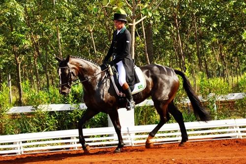 O experiente cavaleiro olímpico Guega Fofanoff com Estiva durante a prova de adestramento que tradicionalmente abre o Concurso Completo de Equitação / Foto: Divulgação