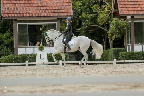 Nos próximos dois finais de semana, a Sociedade Hípica Paulista é ponto de encontro da família do adestramento paulista e brasileiro e será dada largada nas qualificativas para os Jogos Odesur e Jogos Equestres Mundiais 2018 / Foto: Luis Ruas