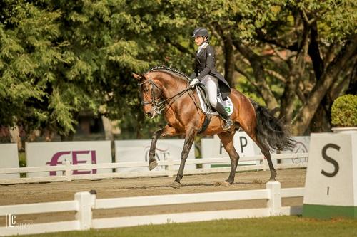 Elite do adestramento brasileiro inicia novo ciclo olímpico e disputa qualificativas para formar o Time Brasil nos Jogos Sul Americanos e Jogos Equestres Mundiais 2018 / Foto: Luis Ruas