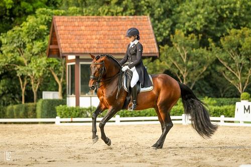 Disputas válidas como qualificativa rumo aos Jogos Equestres Mundiais 2018 e Sul Americano 2018 acontecem nessa sexta-feira, 6, a partir das 12h15 / Foto: Luis Ruas