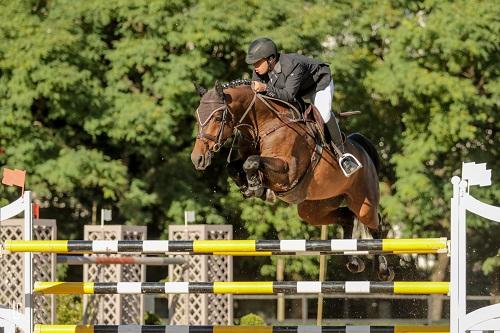 Tops da casa e convidados de São Paulo e outros estados prometem estar a postos na badalada final do Ranking de Salto SHP, entre 30 e 3/12, antecendo o Concurso de Salto Nacional 3* que fecha a temporada do hipismo brasileiro na Hípica Paulista / Foto: Luis Ruas