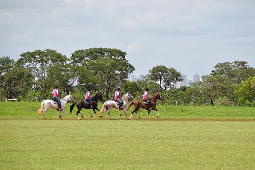 A VI Etapa do Campeonato Chevaux Brasília 2016 aconteceu no último sábado, no RCG / Foto: Divulgação