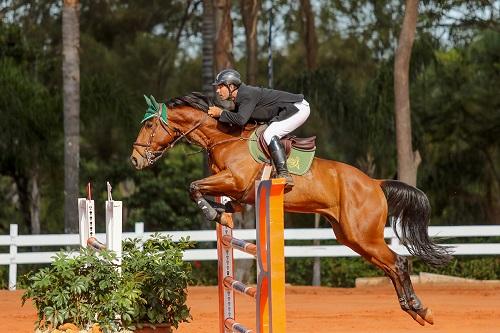 Entre os dias 21 e 23 de outubro, cavaleiros de diferentes modalidades competem no Brasília Country Club / Foto: Divulgação/Chevaux