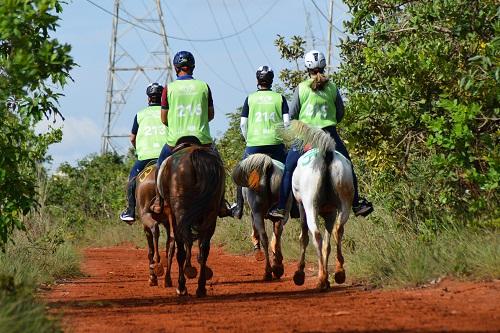 A prova também é a última etapa do Campeonato Chevaux Brasília e acontece no dia 2 de dezembro / Foto: Divulgação