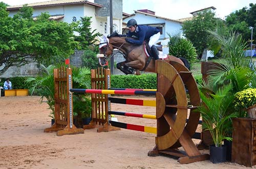  Jorge Luis Passamani vence a Copa Ouro de hipismo   / Foto: Divulgação