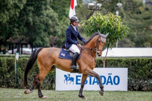 Internacional e Nacional 44ª Copa São Paulo: uma experiência equestre completa / Foto: Luis Ruas / Divulgação