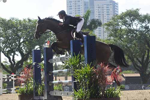 Paulista de Hipismo começa neste final de semana  / Foto: Divulgação