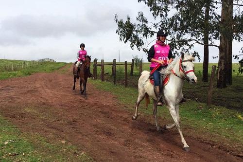 Número de estreantes marcou a III Etapa do Campeonato regional do Paraná / Foto: Divulgação