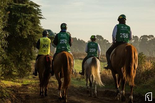 Próxima fase do campeonato acontece ainda este mês / Foto: Divulgação/Chevaux