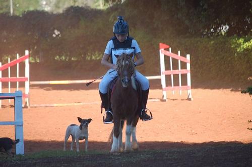 Geração futuro em pista na 1ª Etapa do Olímpicos do Amanhã em 2016 / Foto: Divulgação