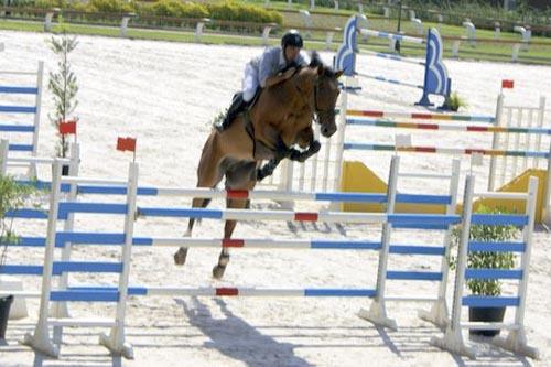 A Confederação Brasileira de Hipismo convocou jovens talentos do esporte para disputar a Copa das Nações do CSIO de Wellington / Foto: Divulgação 