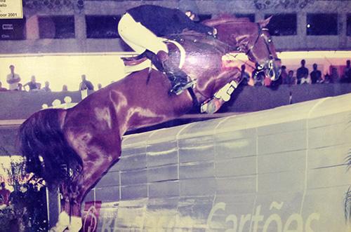 Renato Junqueira e Pirandelo batendo o recorde brasileiro Indoor a 2.25 metros / Foto: Divulgação