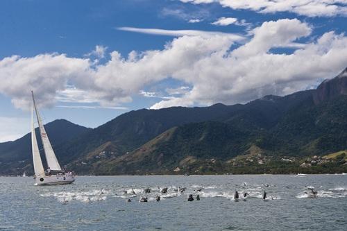 Golfinhos aparecem em Ilhabela / Foto: Rolex / Carlo Borlenghi 