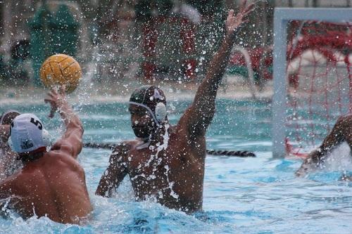 Competição inédita movimenta os principais clubes do Brasil / Foto: Divulgação/PAB