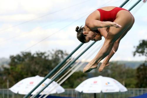 Saltos Sincronizados dão mais charme ao Troféu Brasil / Foto: Satiro Sodré / SSPress / Divulgação CBDA