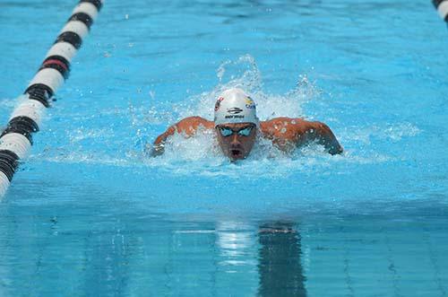 Depois da dispensa do Sulamericano de Desportos Aquáticos, Em Mar Del Plata, na Argentina, agora foi a vez do Mundial de Doha, Catar. / Foto: LD Sports