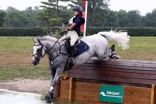 No cross-country atleta e animal passam por diversos níveis de obstáculos / Foto: Brant Gamma Photography