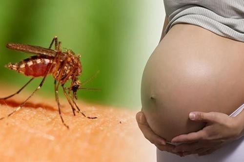 Zika preocupa EUA / Foto: Divulgação