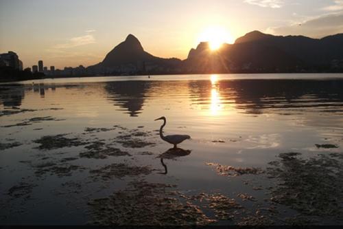 Lagoa Rodrigo de Freitas e a poluição / Foto: Paulo Maia