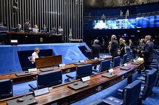 Entre os temas principais está a segurança nas instalações esportivas, além do desconto nos ingressos para estudantes e idosos / Foto: Jefferson Rudy/Agência Senado