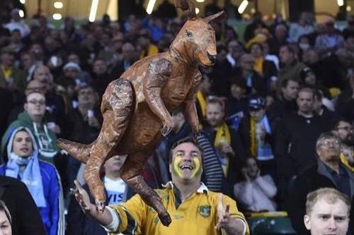 Canguru, mascote da finalista Austrália na Copa do Mundo de Rugby / Foto: Getty Images