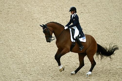 Atletas equinos da Rio 2016 recebem cuidados veterinários de primeira linha em Deodoro / Foto: Sean M. Haffey/Getty Images