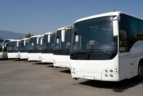 Ônibus da Traffilog/ Foto: Divulgação